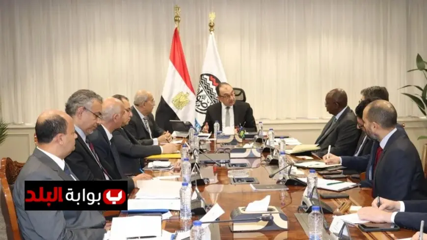 وزير قطاع الأعمال يلتقي وفد البنك الدولي لتعزيز سبل التعاون المشترك