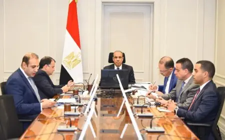 وزير الخارجية المصري يعلن دعم مصر الحاسم لوحدة وسيادة الصومال خلال اجتماع مجلس السلم والأمن الأفريقي