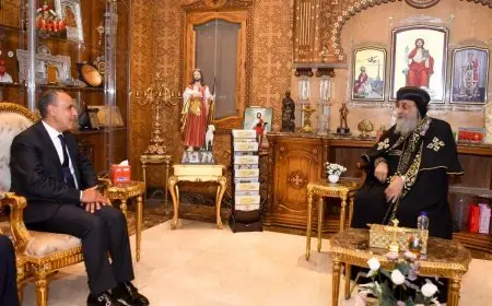 وزير الخارجية يبارك قداسة البابا تواضروس الثاني بمناسبة احتفالات عيد الميلاد المجيد