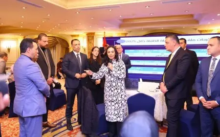 وزيرة التضامن الاجتماعي تتفقد اللقاء التنسيقي لفرق عمل وحدات إدارة الحالة والأسر البديلة الكافلة لتعزيز الدعم الاجتماعي