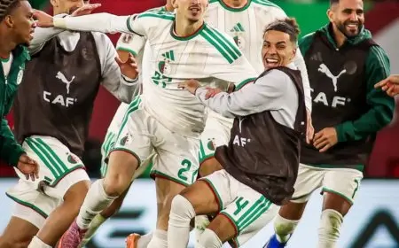 منتخب الجزائر يحقق فوزًا مثيرًا ويبلغ ربع نهائي كأس أمم أفريقيا بعد انتصار مستحق على الكونغو الديمقراطية