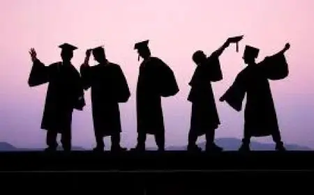 اختيار العمل كموظف أو بدء عمل تجاري حديثي التخرج هنا نصائح مهمة تسهل القرار