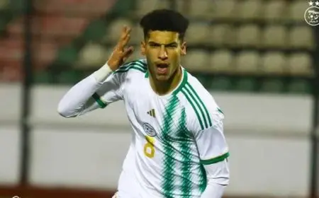 كل ما تحتاج معرفته عن محمد الأمين رمضاوي بعد اقترابه من الأهلي