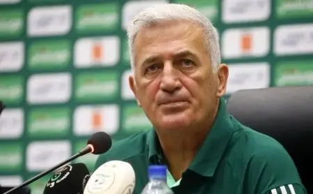 مدرب الجزائر يؤكد استعداد الفريق الذهني لمواجهة نيجيريا رغم التحديات الناتجة عن الإصابات