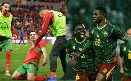الكاميرون تواجه المغرب في ربع نهائي كأس أمم أفريقيا تفاصيل وأرقام مثيرة عن المواجهة المنتظرة