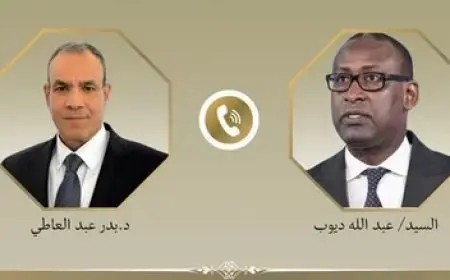 وزير الخارجية يناقش قضايا هامة مع نظيره المالي عبر اتصال هاتفي