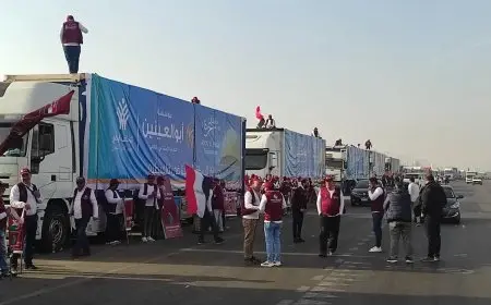 مؤسسة أبو العينين تساهم بآلاف المساعدات الغذائية والإغاثية في القافلة 13 للتحالف الوطني إلى غزة