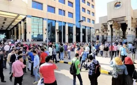 نائب يؤكد أن الجامعات المتخصصة تعزز الأمن التنموي كاستثمار طويل الأجل في رأس المال البشري