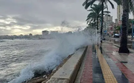 الأرصاد الجوية تحذر من أمطار متفاوتة الشدة واضطرابات بحرية حتى الجمعة 16 يناير