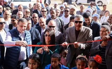 افتتاح محطة الزهراء للطاقة الشمسية في أسوان لتوفير الطاقة لـ480 فدان