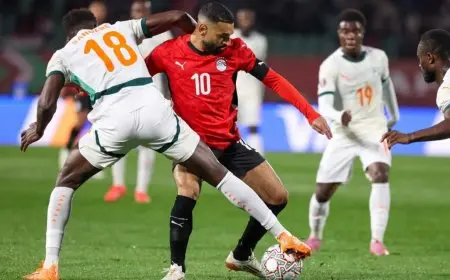 مصر تواجه السنغال على قناة مجانية قبل نصف نهائي أمم إفريقيا المرتقب