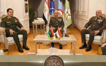 وزير الدفاع ورئيس الأركان يجتمعان مع نائب القائد العام للجيش الوطني الليبي لتعزيز التعاون العسكري