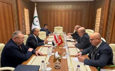 وزير الخارجية يبرز أهمية انسحاب القوات الأجنبية والمرتزقة من الأراضي الليبية