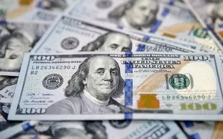 تحديث أسعار الدولار مقابل الجنيه المصري اليوم الاثنين 12 يناير 2026 في البنوك