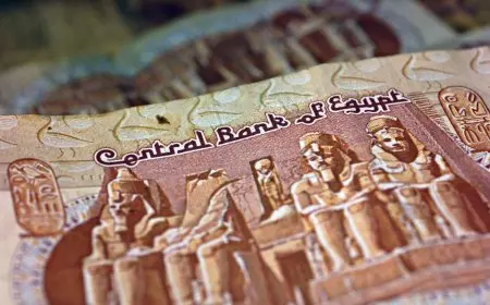 الجنيه المصري يحقق انتعاشًا قويًا أمام الدولار بفضل تحويلات المصريين المغتربين وفقًا لعلي الدين هلال