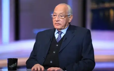 علي الدين هلال يحذر من القلق المتزايد حول الفجوة الاجتماعية في مصر على مدار الفترة الحالية