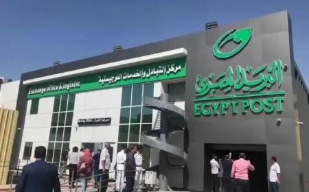 كل ما تحتاج معرفته حول حسابات التوفير في البريد المصري لعام 2026