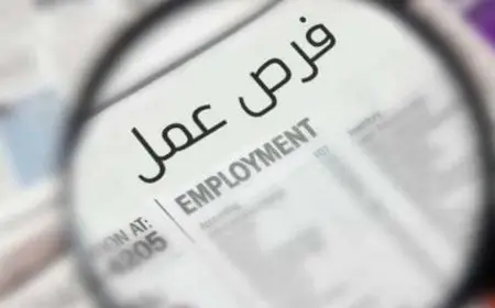 تعرف على شروط وخطوات التقدم لوظائف في شركة متخصصة في الاستيراد والتصدير