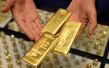 السعر الحالي لسبيكة الذهب اليوم وشكل الـ 20 جرامًا في السوق