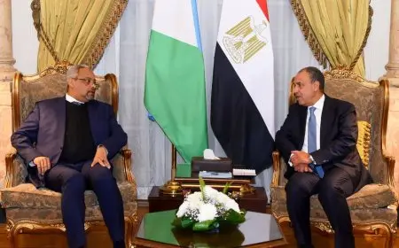 وزير الخارجية يناقش مع نظيره الجيبوتي مستجدات الأوضاع في القرن الأفريقي