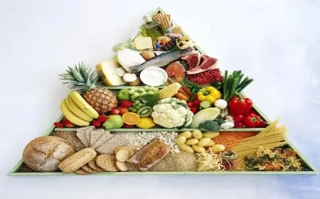 الهرم الغذائي الجديد يعزز الصحة ويقي من أمراض العصر