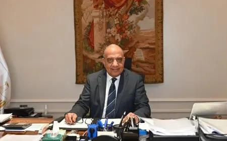 وزير الكهرباء يستعرض فرص إقامة مصنعين لبطاريات تخزين الطاقة في مصر مع مجموعة هثيوم