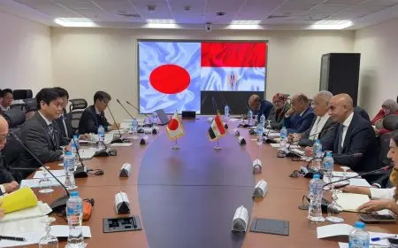 التعليم تعلن عن إدخال اللغة اليابانية في المدارس المصرية بدءا من العام الدراسي القادم