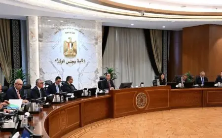 نمو محفظة الأصول في صندوق مصر السيادي يتجاوز 90% بين 2023 و2025 حسب وزير الاستثمار