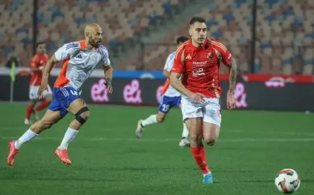 جراديشار يحدث زلزالاً في الدوري المجري بظهوره المفاجئ