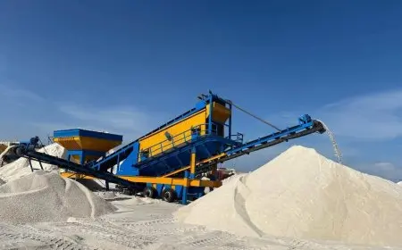 النصر للملاحات تحقق إنجازاً تاريخياً بتصدير أكبر شحنة ملح من ميناء العريش