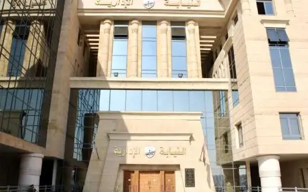النيابة الإدارية تنظم الإشراف القضائي لانتخابات نقابات المحامين الفرعية