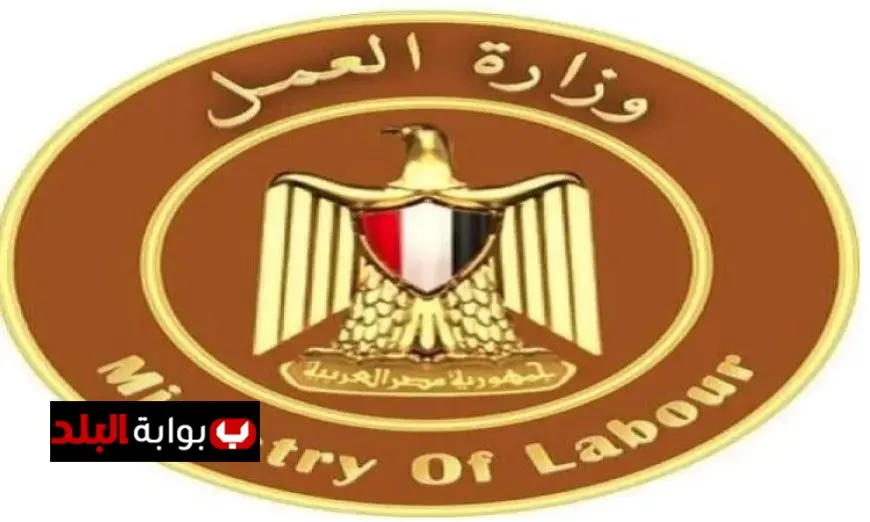وزارة العمل تعلن نتائج مثيرة حول حملات التفتيش على منشآت القطاع الخاص