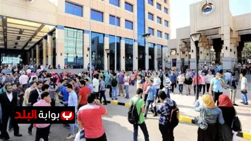 نائب يؤكد أن الجامعات المتخصصة تعزز الأمن التنموي كاستثمار طويل الأجل في رأس المال البشري