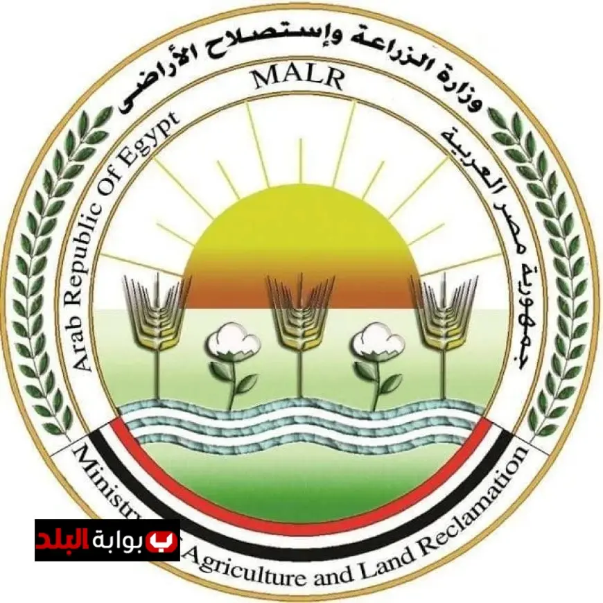 الزراعة تفتح السوق الأوزبكي أمام صادرات مصر من الفراولة الطازجة لتعزيز التعاون التجاري