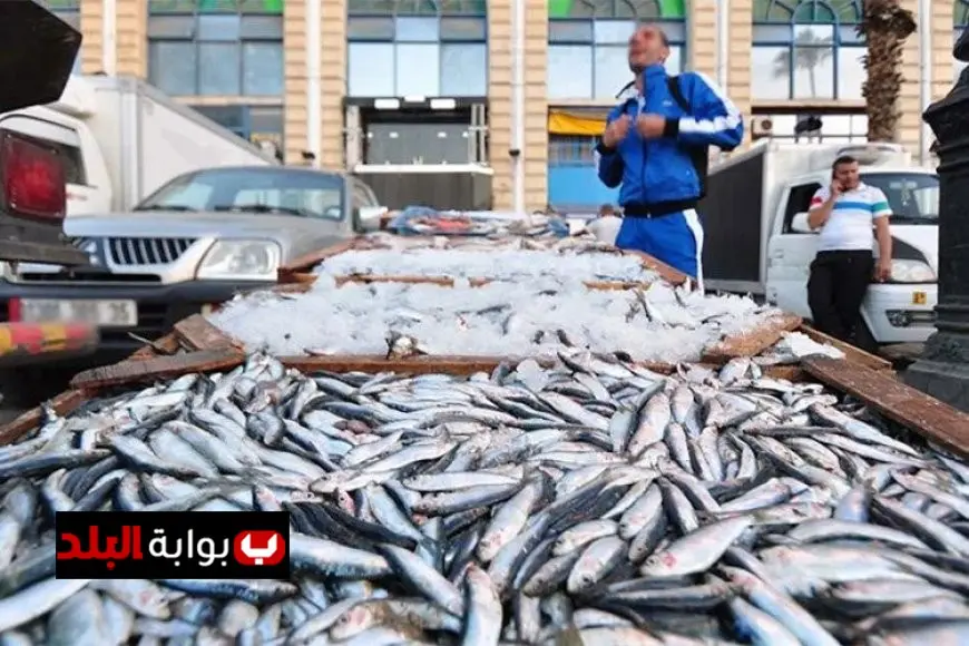 أسعار الأسماك اليوم الأحد الموسى ينطلق من 250 جنيهًا
