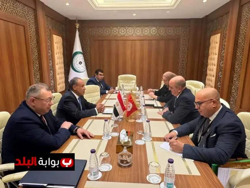 وزير الخارجية يبرز أهمية انسحاب القوات الأجنبية والمرتزقة من الأراضي الليبية