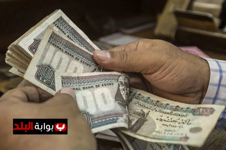 موعد صرف معاشات فبراير 2026 للعاملين في الدولة وكيفية الاستعلام عنها