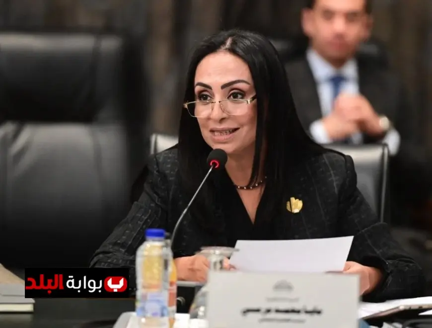 وزيرة التضامن الاجتماعي تمدد وقف منح التراخيص لدور الأيتام لسنة جديدة