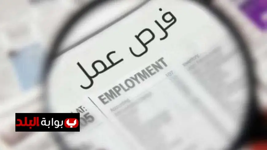 تعرف على شروط وخطوات التقدم لوظائف في شركة متخصصة في الاستيراد والتصدير