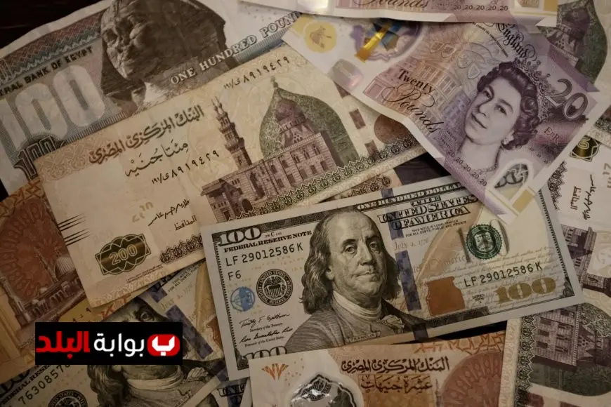 ارتفاع الجنيه المصري أمام الدولار بفضل تحويلات المصريين في الخارج حسب حسام عيد
