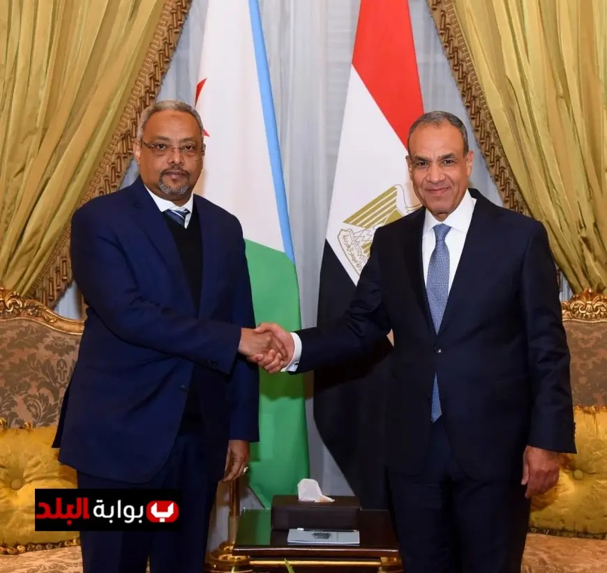 وزير الخارجية يناقش مع نظيره الجيبوتي تطورات الأوضاع الإقليمية وتأثيرها على العلاقات الثنائية