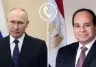 الرئيس السيسي وبوتين يتواصلان لبحث التطورات الإقليمية والدولية الهامة