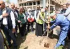 وزيرة التنمية المحلية والبيئة تعلن عن زراعة 9460 شجرة في الإسكندرية لتعزيز الاستدامة وتحسين جودة الهواء