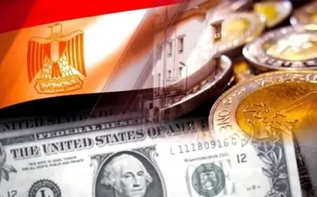 ستاندرد آند بورز تتوقع الدولار يصل إلى 64.5 جنيه بحلول عام 2029