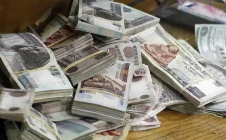 اكتشف أفضل حسابات التوفير لعام 2026 مع التفاصيل الكاملة من 6 بنوك رئيسية