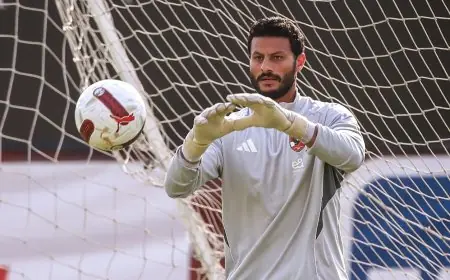 موعد انضمام اللاعبين الدوليين إلى تدريبات الأهلي