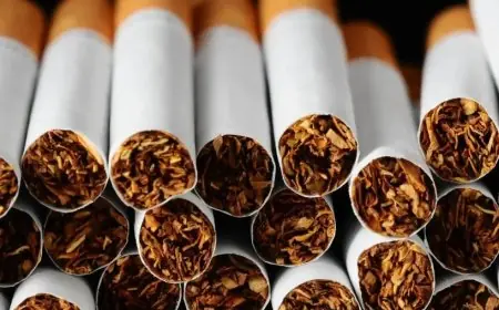 أسعار السجائر في مصر اليوم الأحد 29 مارس 2026 تعرف على القائمة الكاملة للمحلية والمستوردة