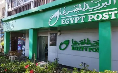 سند المواطن بعائد ثابت 17.75% تفاصيل مثيرة عن الطرح الجديد عبر مكاتب البريد