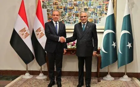 تعزيز التعاون وتقليل التوتر في المنطقة أهم نتائج اجتماع وزيري خارجية مصر وباكستان