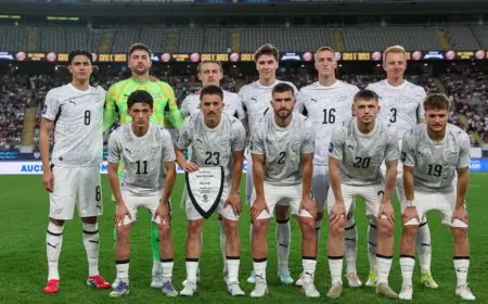 نيوزيلندا تحقق فوزاً ساحقاً على تشيلي بأربعة أهداف في مباراة ودية قبل مواجهة مصر في المونديال